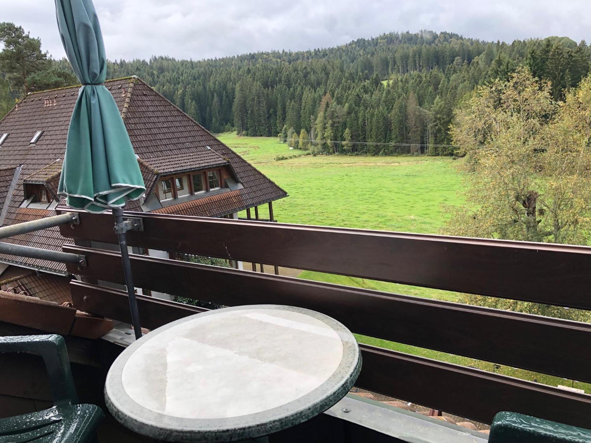 Ferienwohnung Hochschwarzwald Хинтерцартен Экстерьер фото
